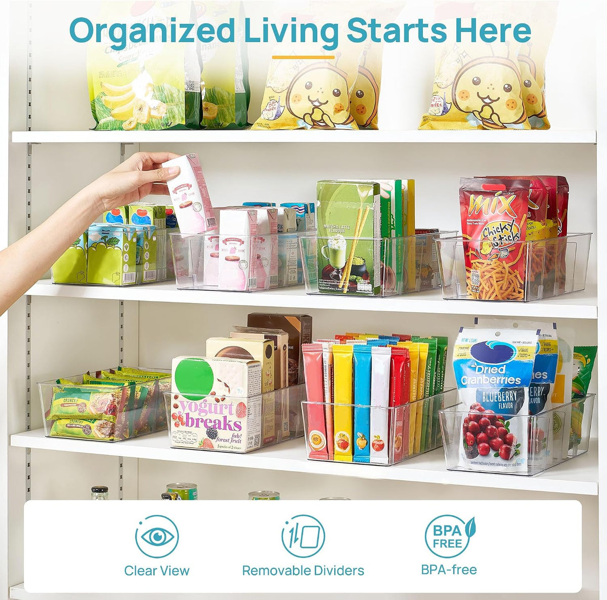 The bins in use on pantry shelves