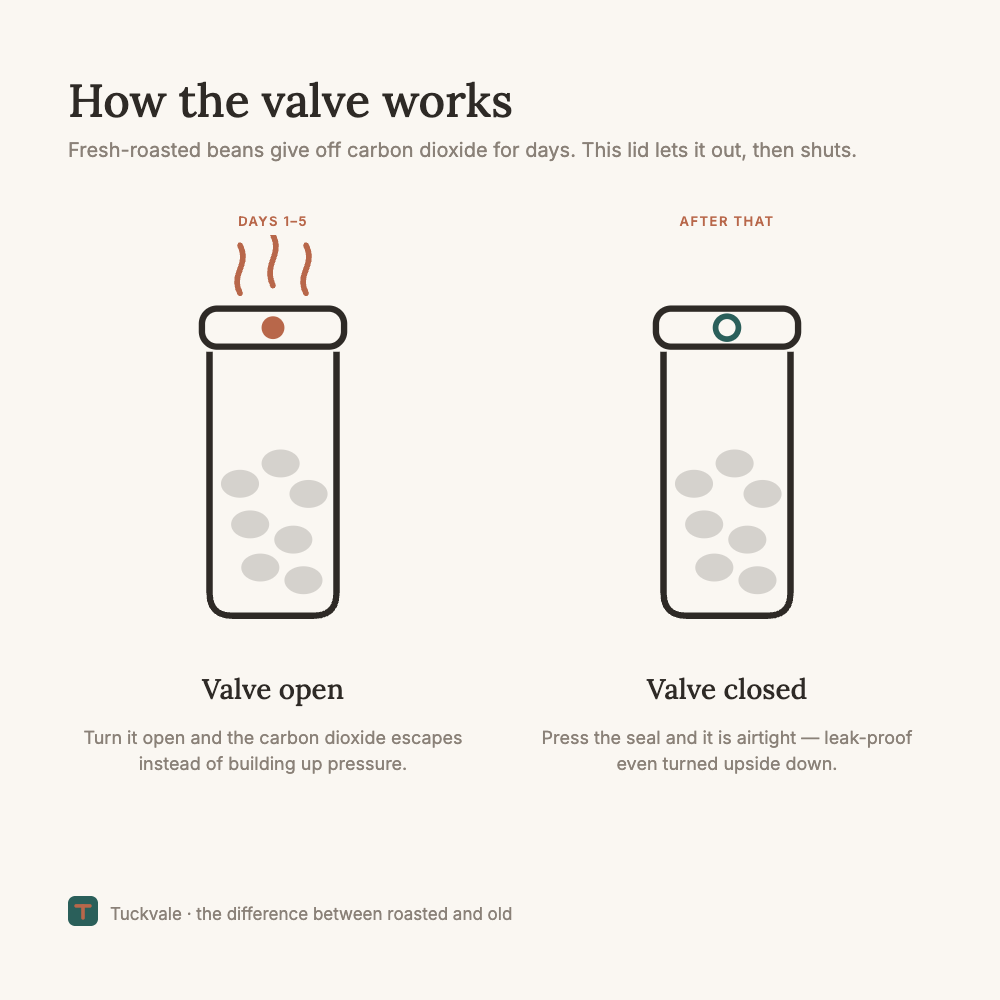 How the one-way CO2 valve works: open for the first five days to let gas escape, then closed for an airtight seal